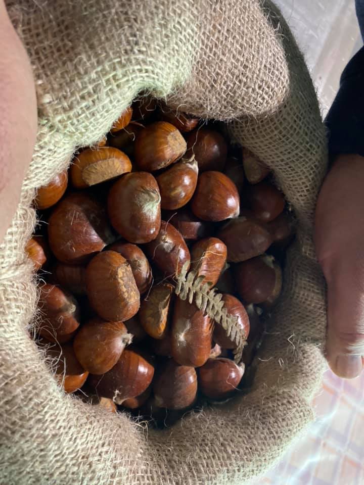 Festa della castagna a San Giovanni alla Vena